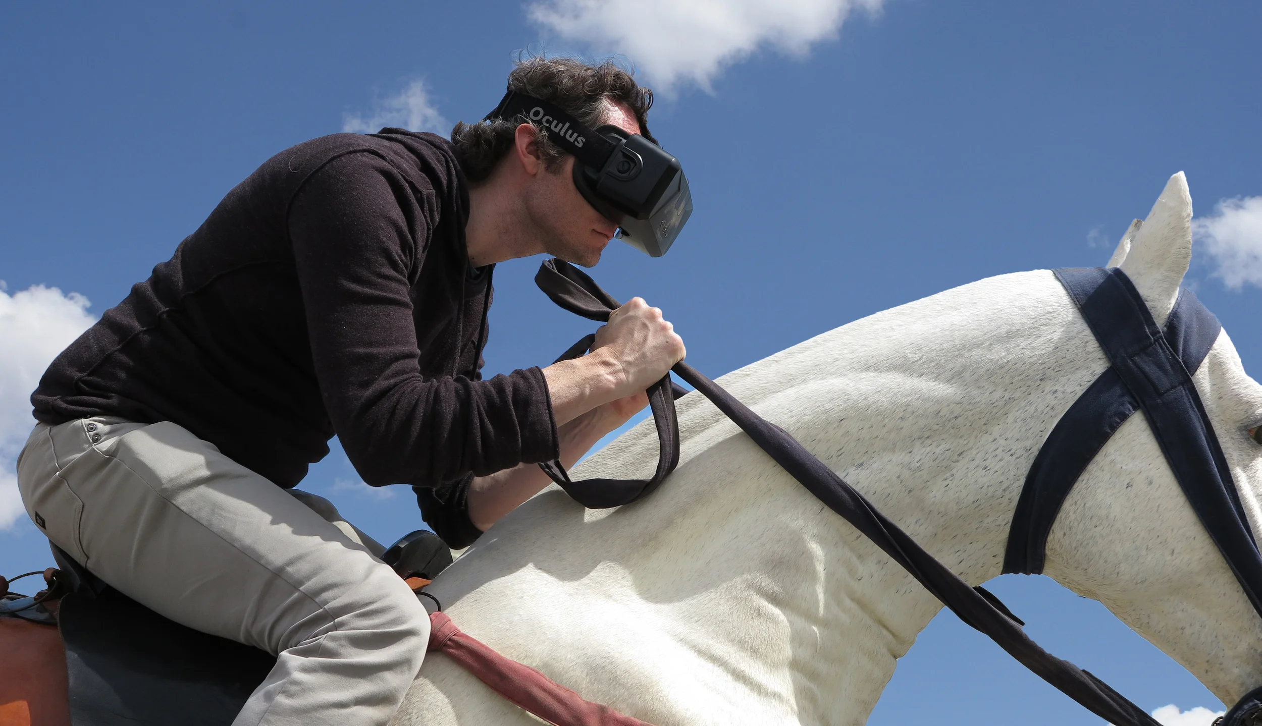 Horse.jpg