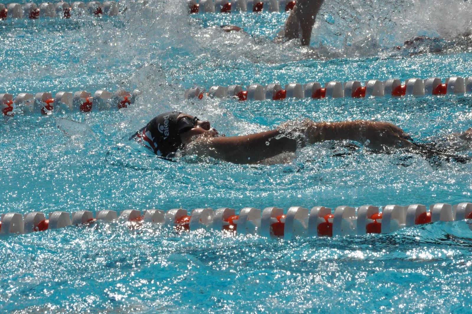 DSC_0457.jpg