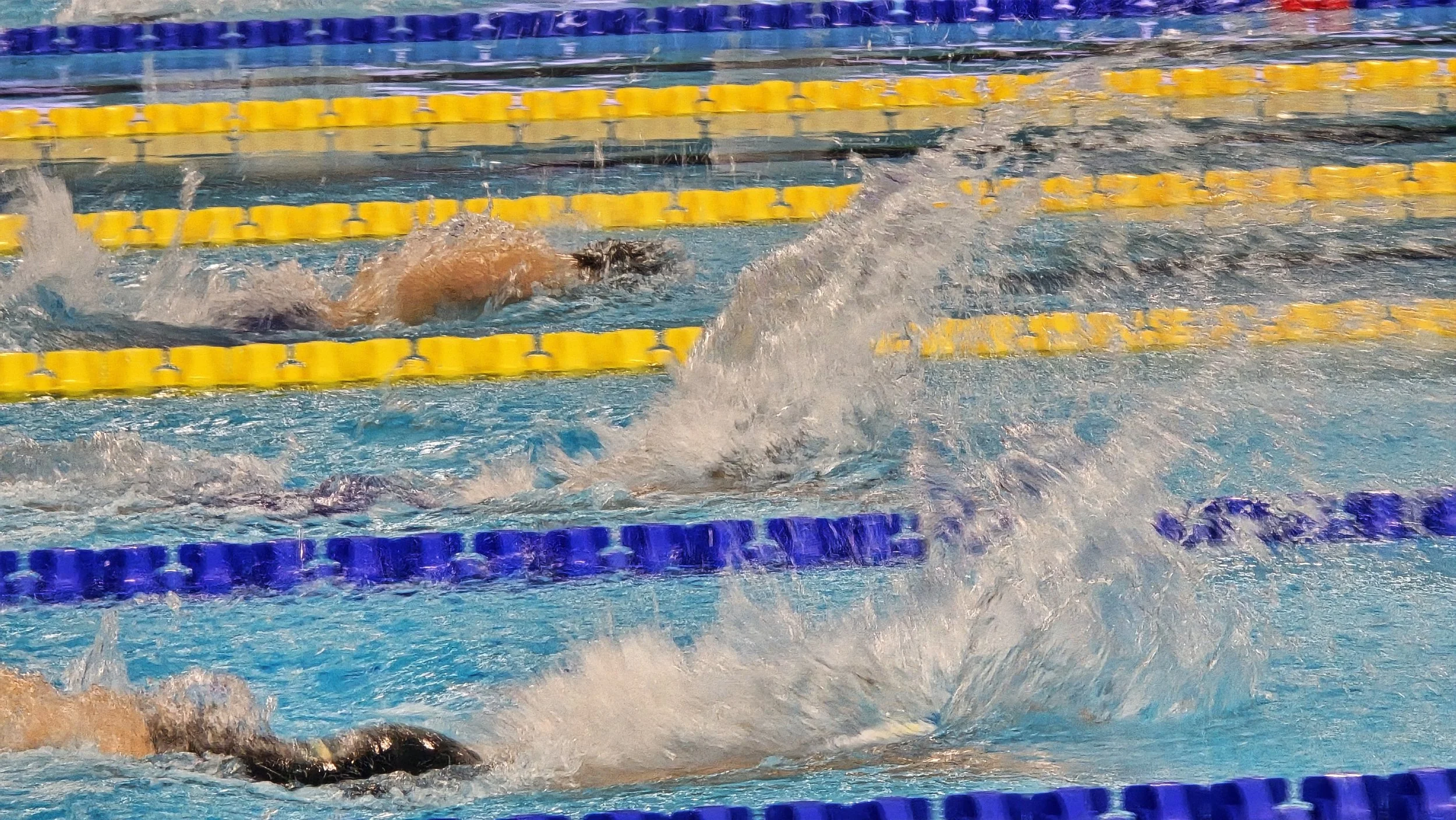 20251206_200240.jpg
