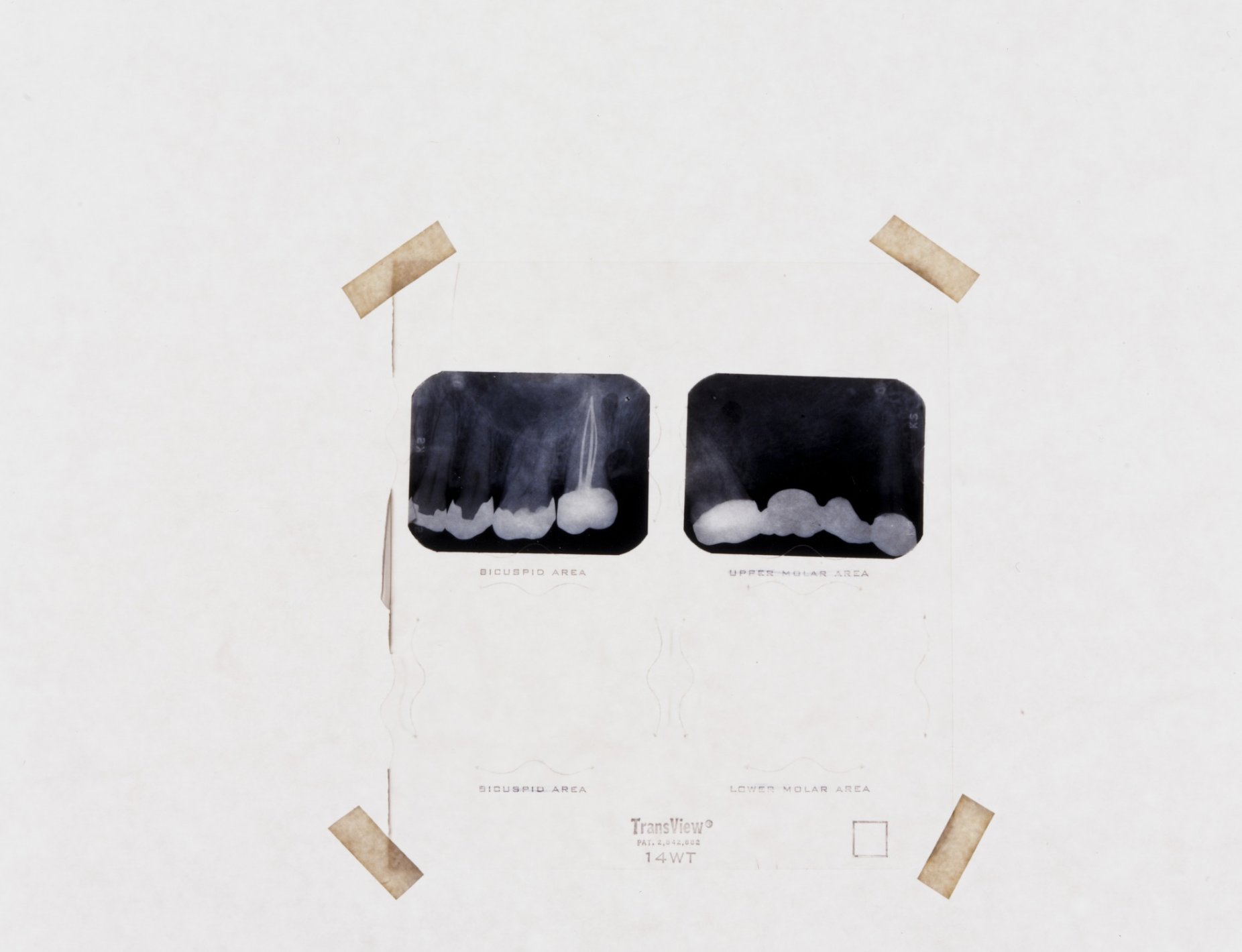 Lynn Hershman Leeson