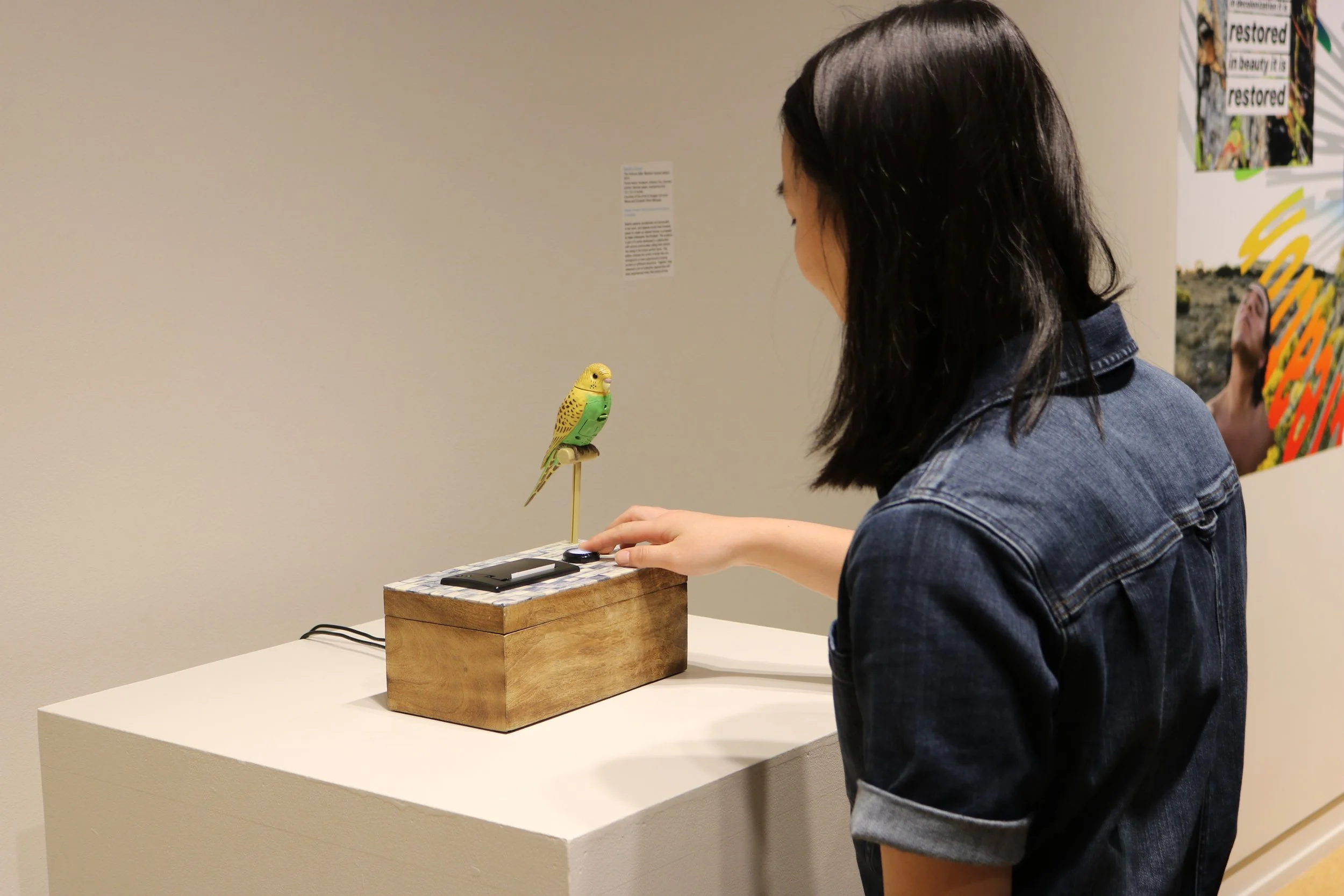 Seth Daulton_IMG_5458.JPG