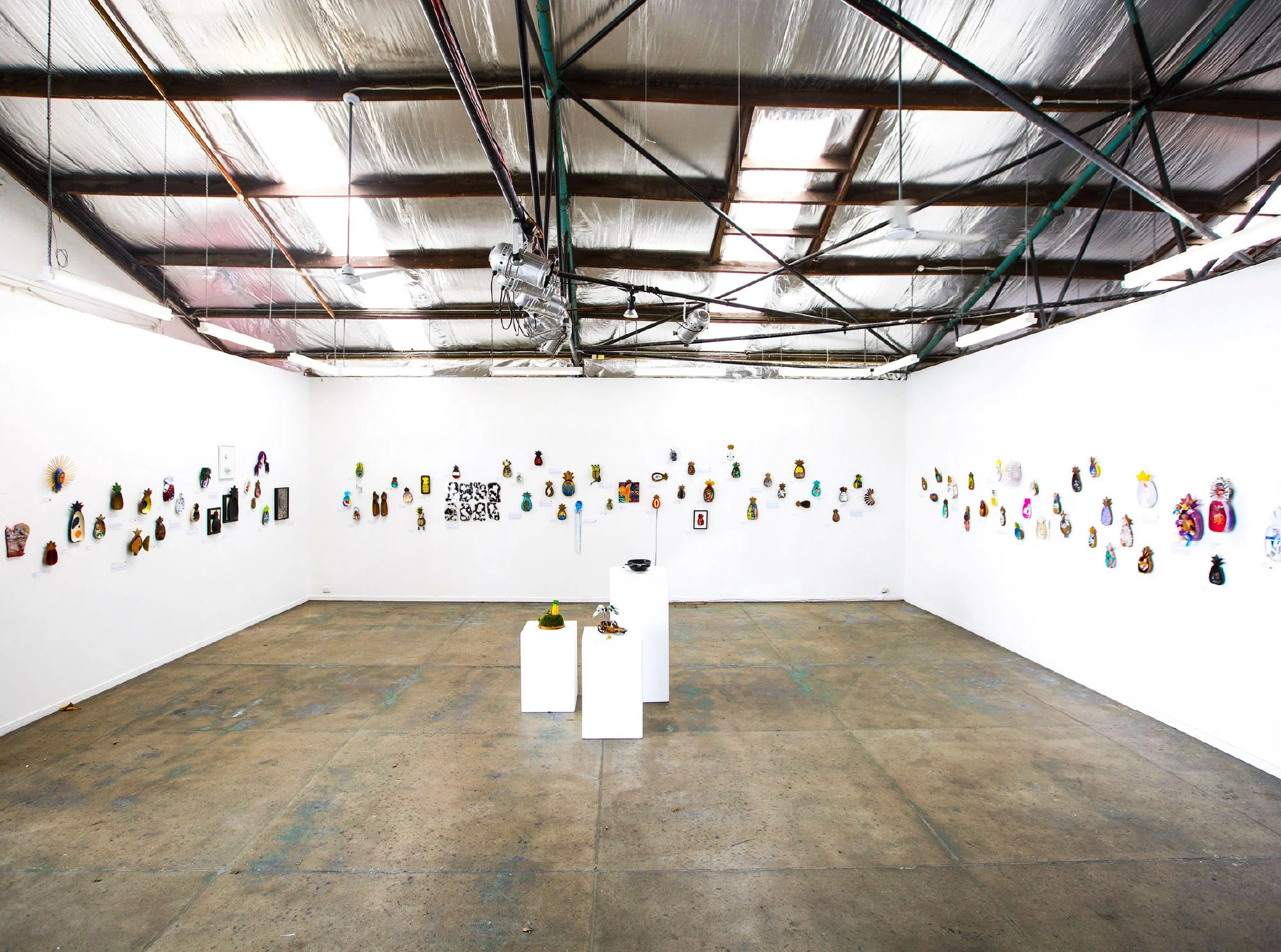 A Tropical State , 2018, Old Canopy Art Centre, Cairns, Group Exhibition, Image: Jack Birtles