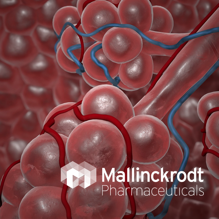 3D Animation