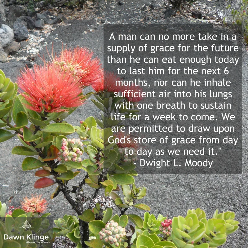 10 Favorite Quotes On Grace Dawn Klinge