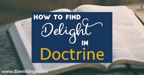 Delight+in+Doctrine+Series.jpg