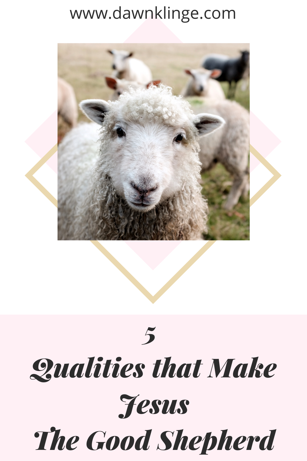 5 Qualities that Make Jesus the Good Shepherd — Dawn Klinge