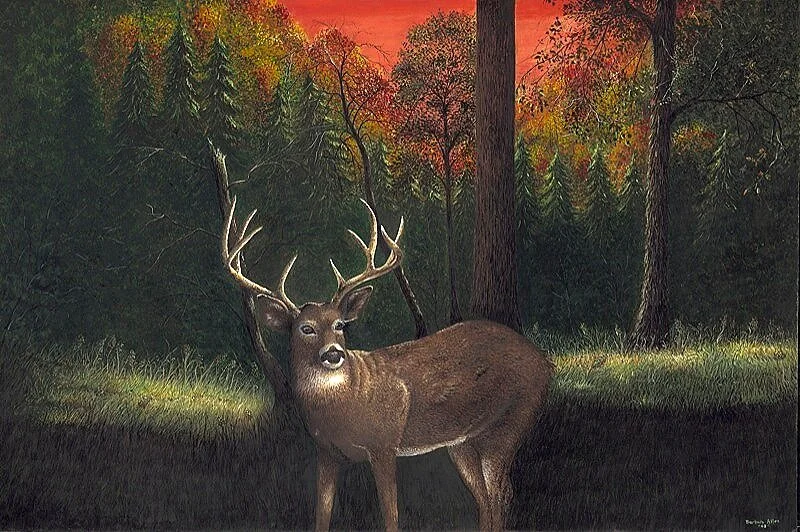 Just+Before+Dusk+Buck+Finished.jpg