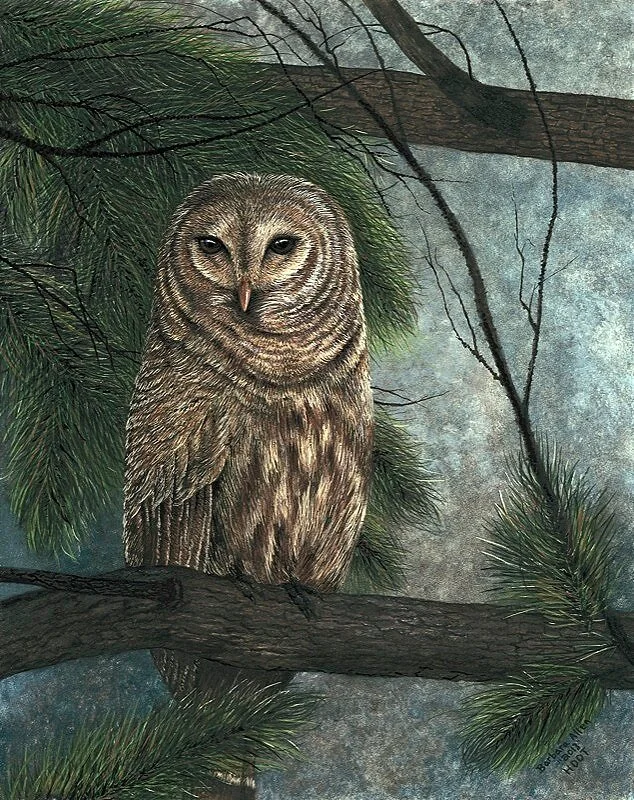 Hoot.jpg