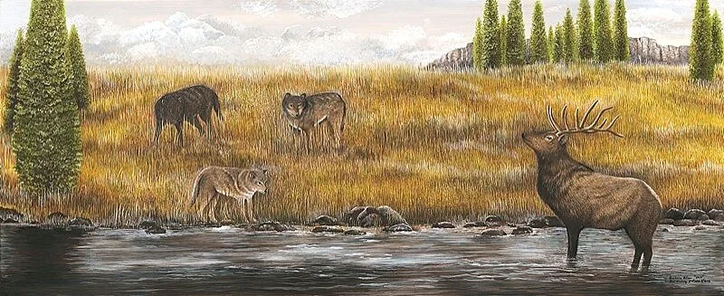 Surviving+Yellowstone.jpg