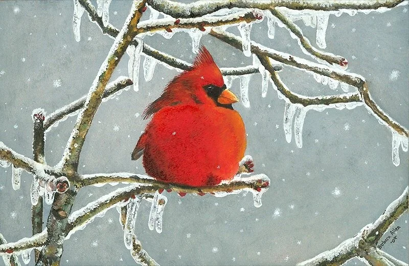 Heart+of+winter+red+bird.jpg