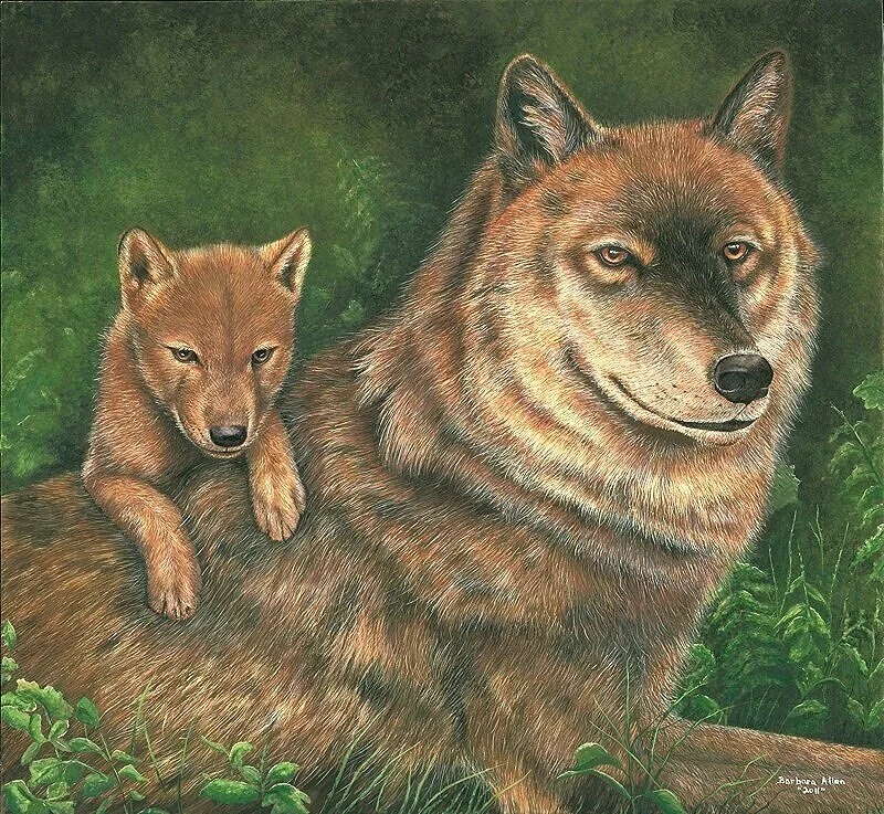 Born%2BWild%2BWolf%2BFinished.jpg