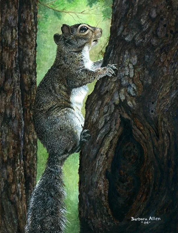 Squirreling+around.jpg