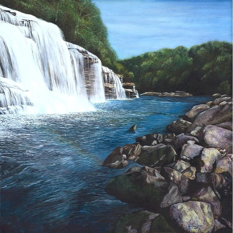 Great+Falls+of+Caney+Fort+finished.jpg