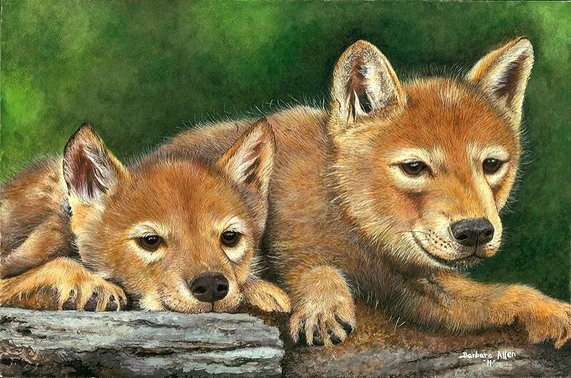wolf+pupsfinal.jpg