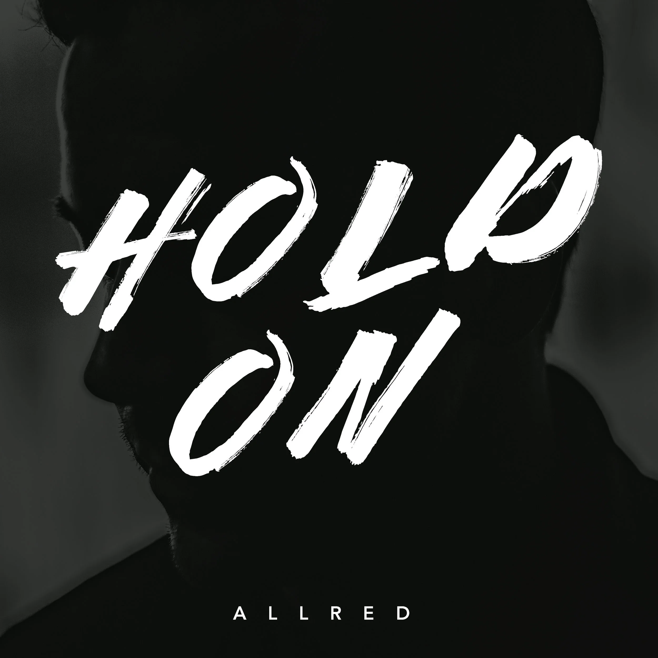 Hold On Art.jpg