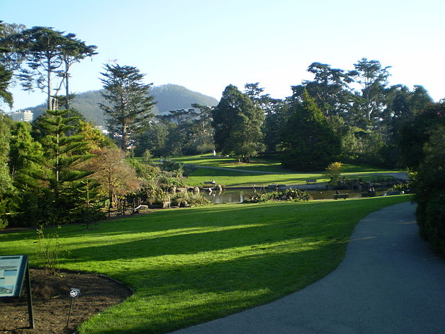 Photo: "Golden Gate Park 07" by Superchilum - Own work. Licensed under CC BY-SA 3.0 via Wikimedia Commons