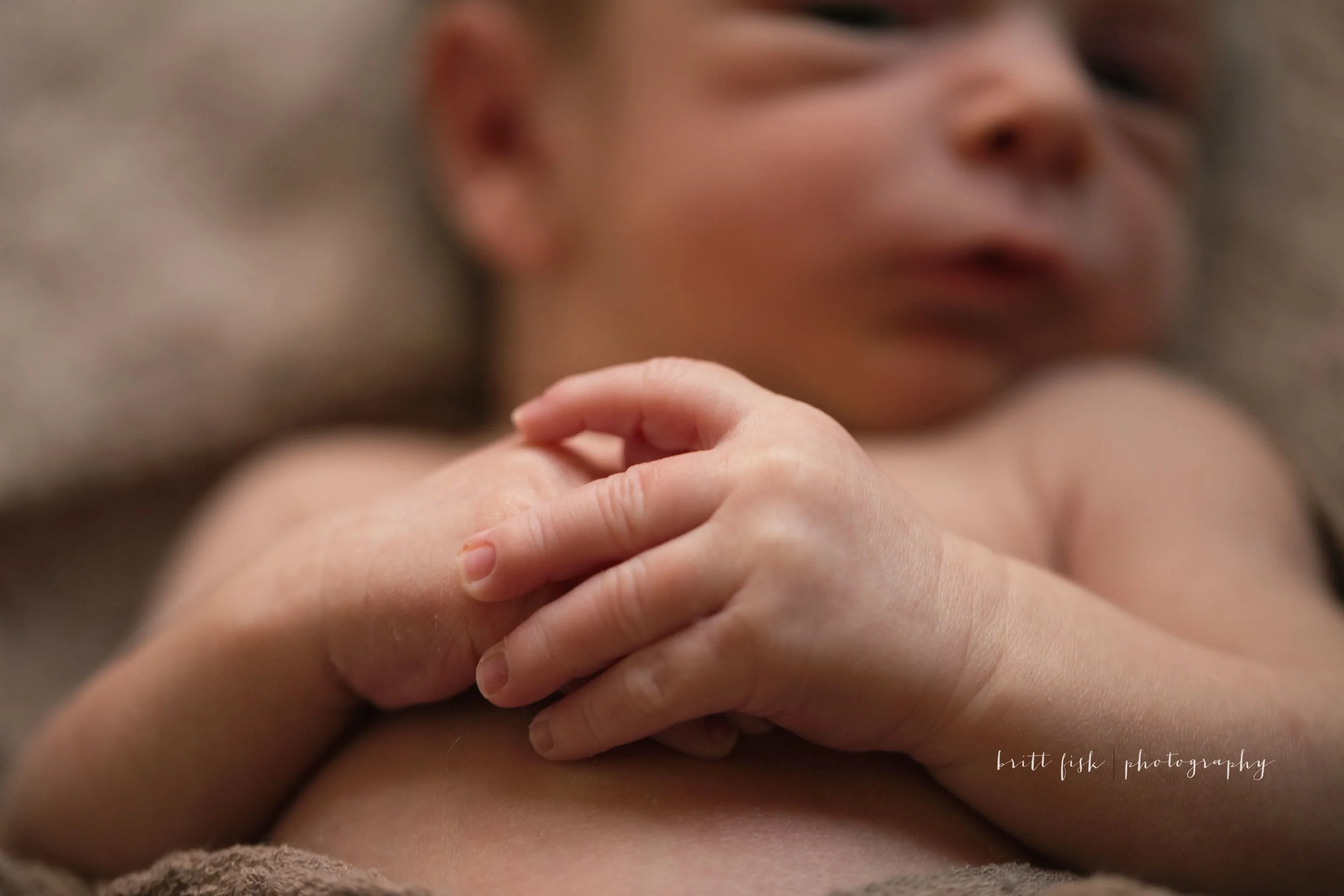 Britt_Fisk_January 02, 2016_JR1A4117-Edit.jpg