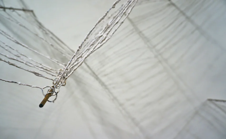 Constellation Fence