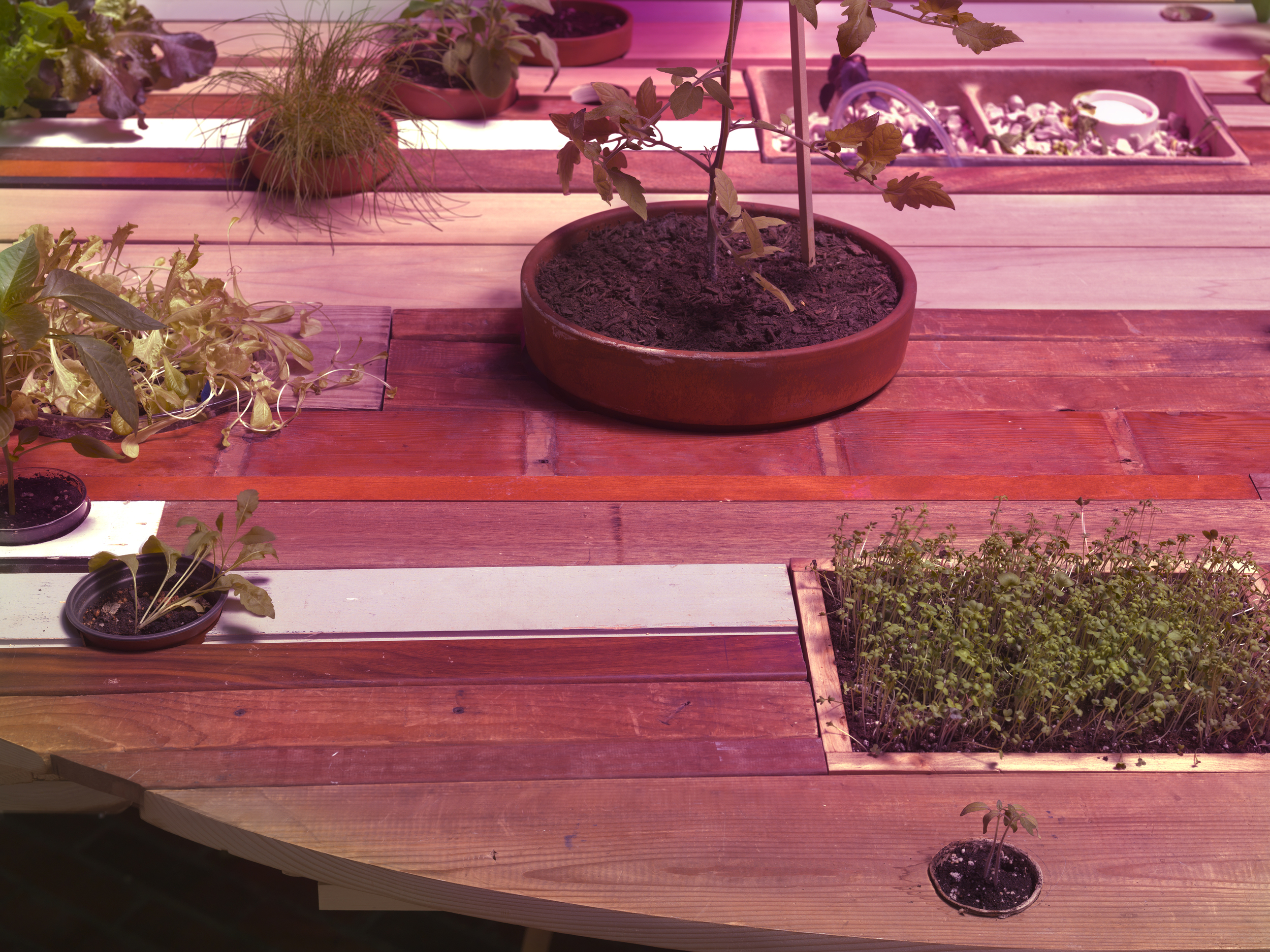 Table Farm