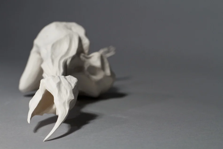 2012 Extended Childhood 03.jpg