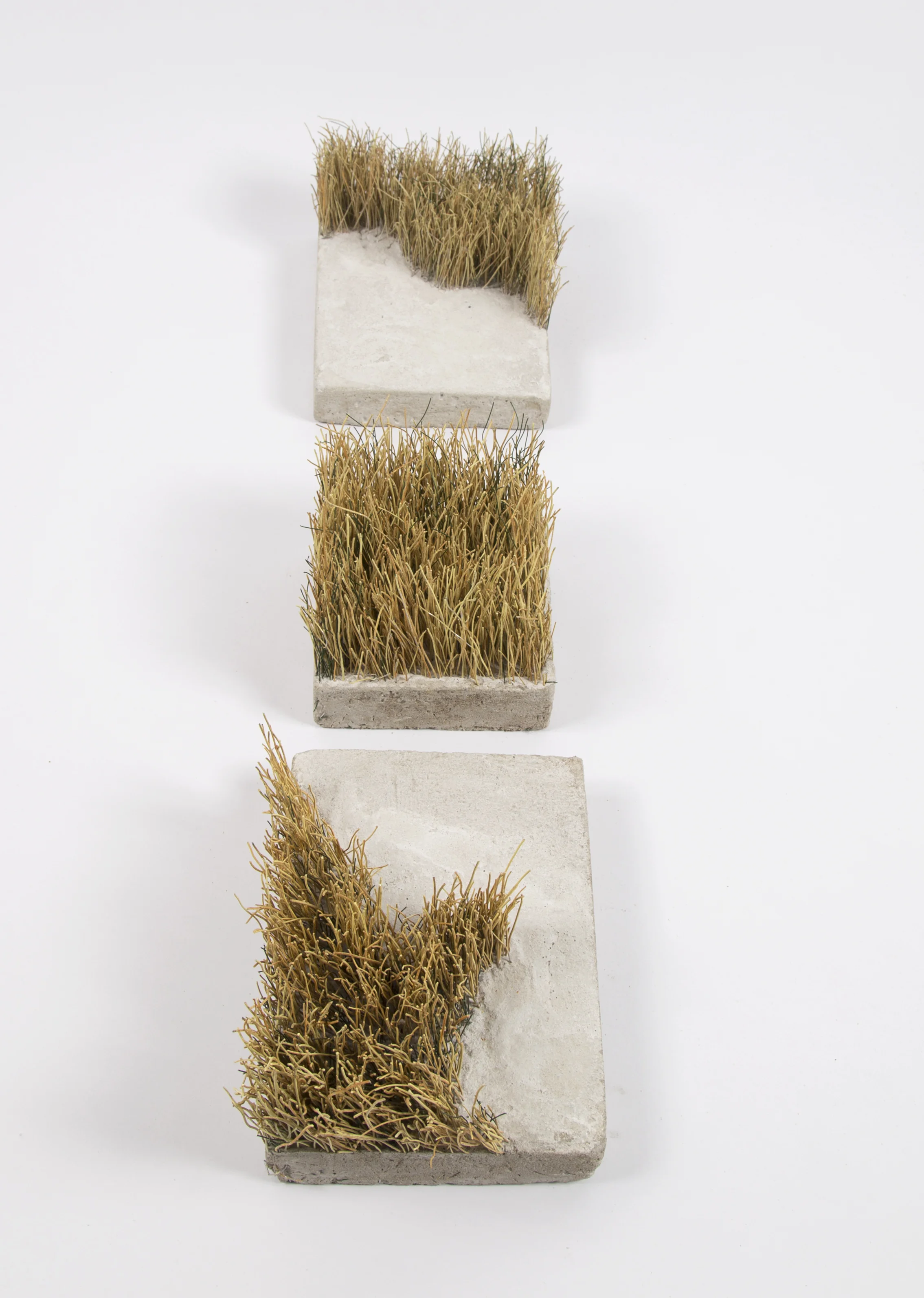 2014 Supplant 01.jpg