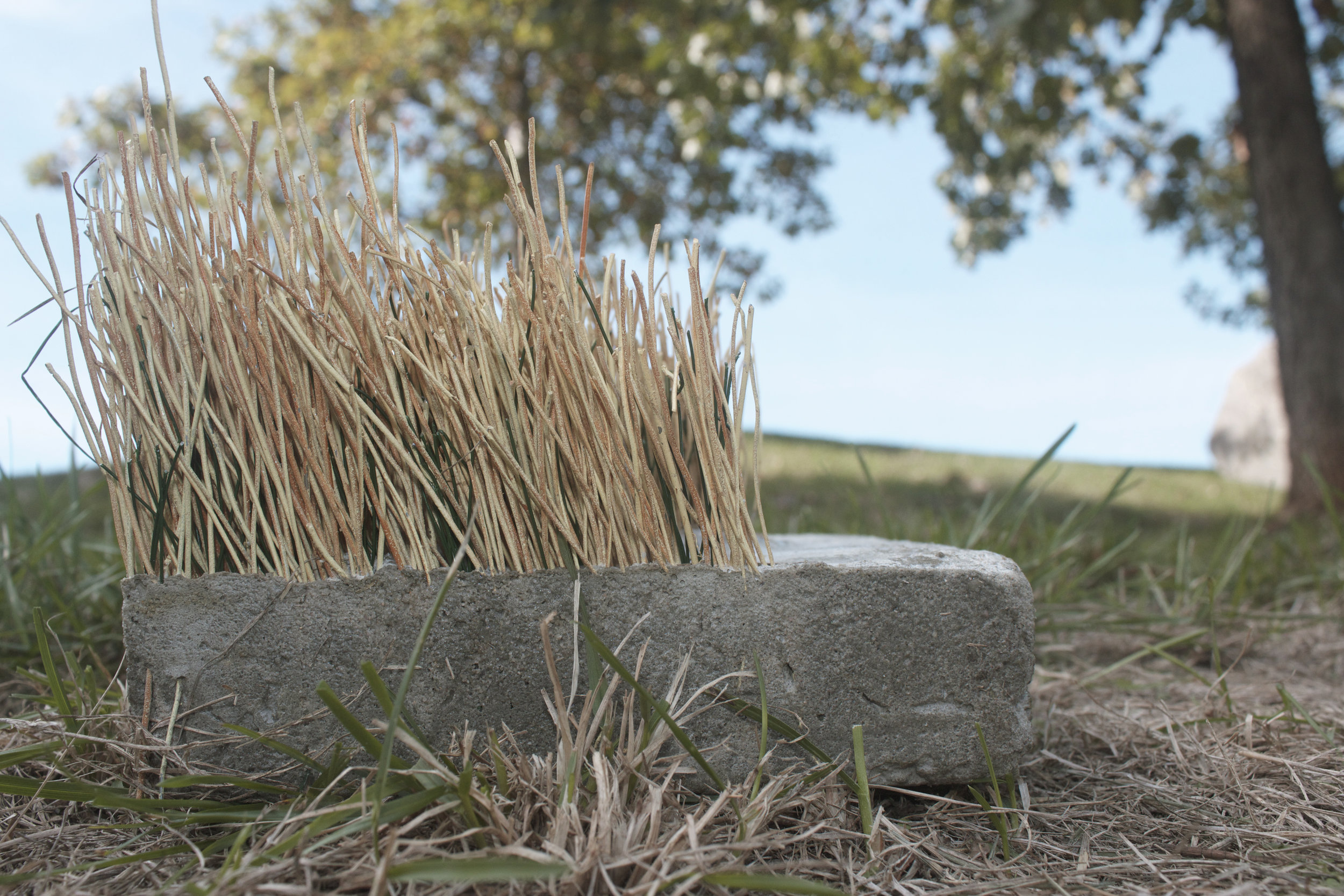 2014 Supplant 03.jpg