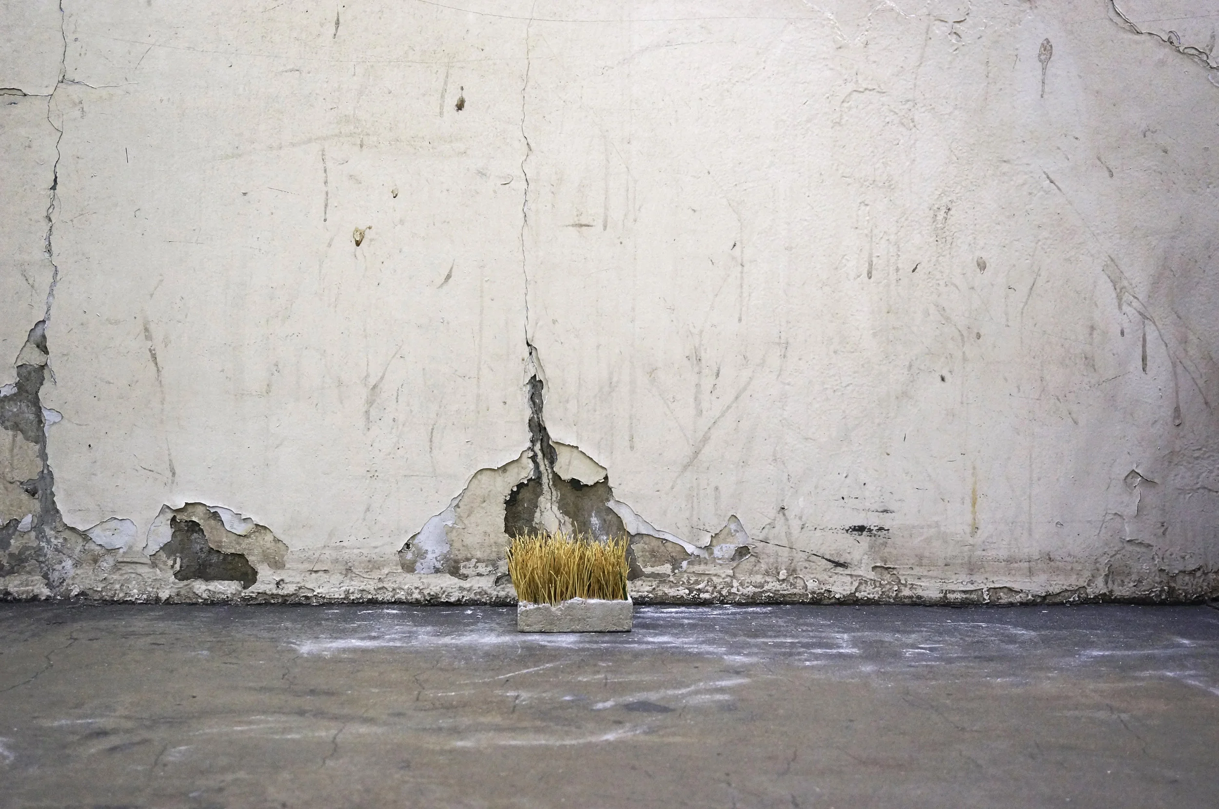 2014 Supplant 07.jpg