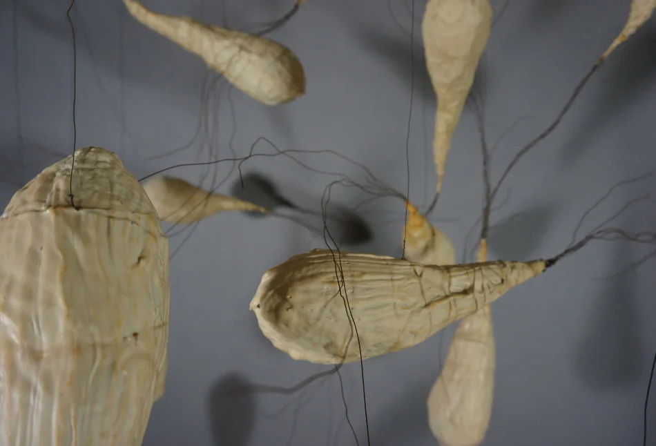 2013 Digging it out Digging it Up 03.jpg