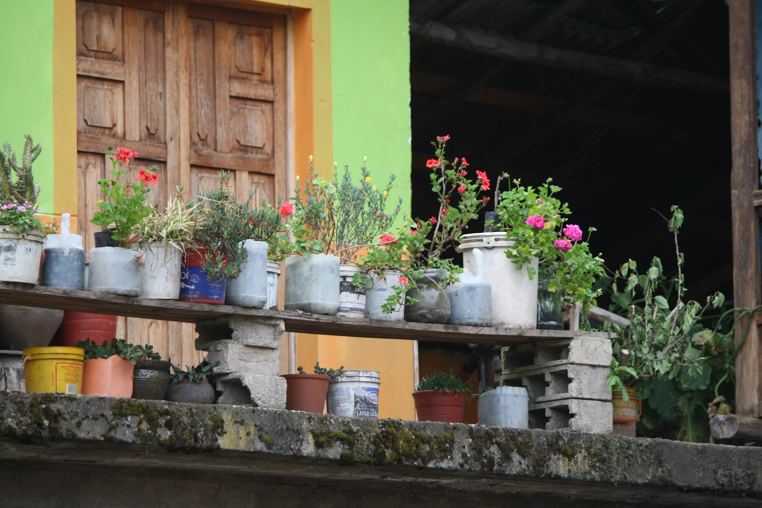 chipani-june2011.jpg