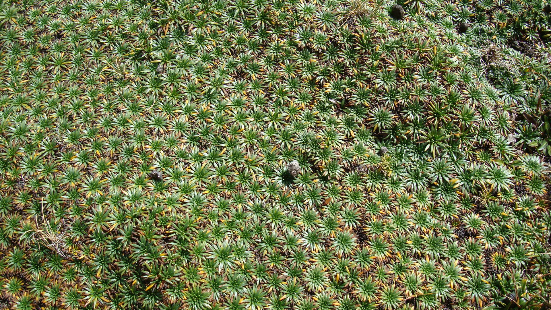 If You Want to Get To Know Me, Start Here...