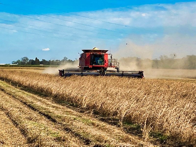 Soybean Harvester 1.jpeg