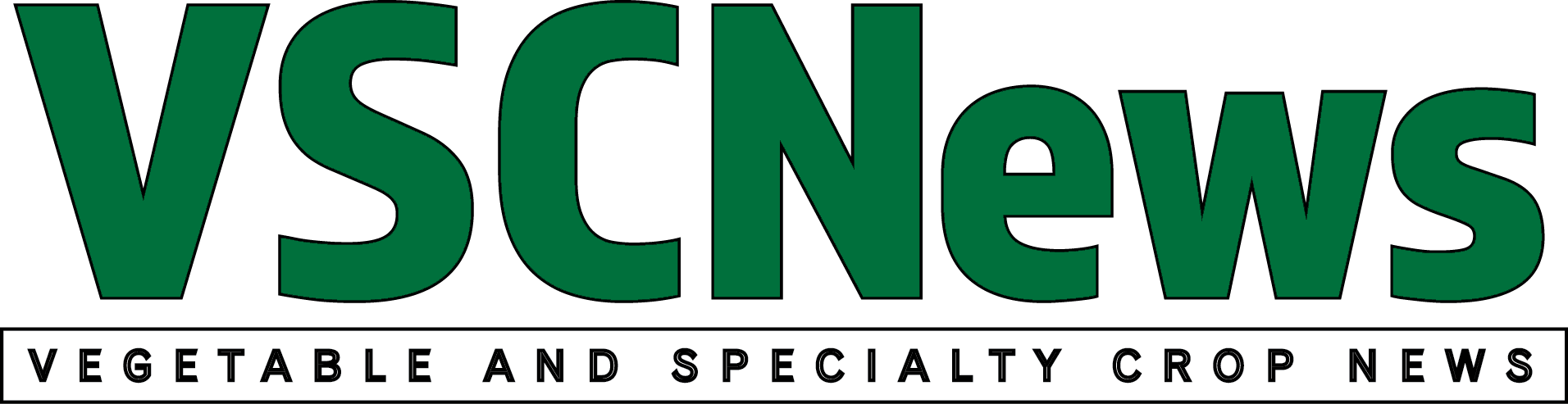 VSCNews_Logo.png