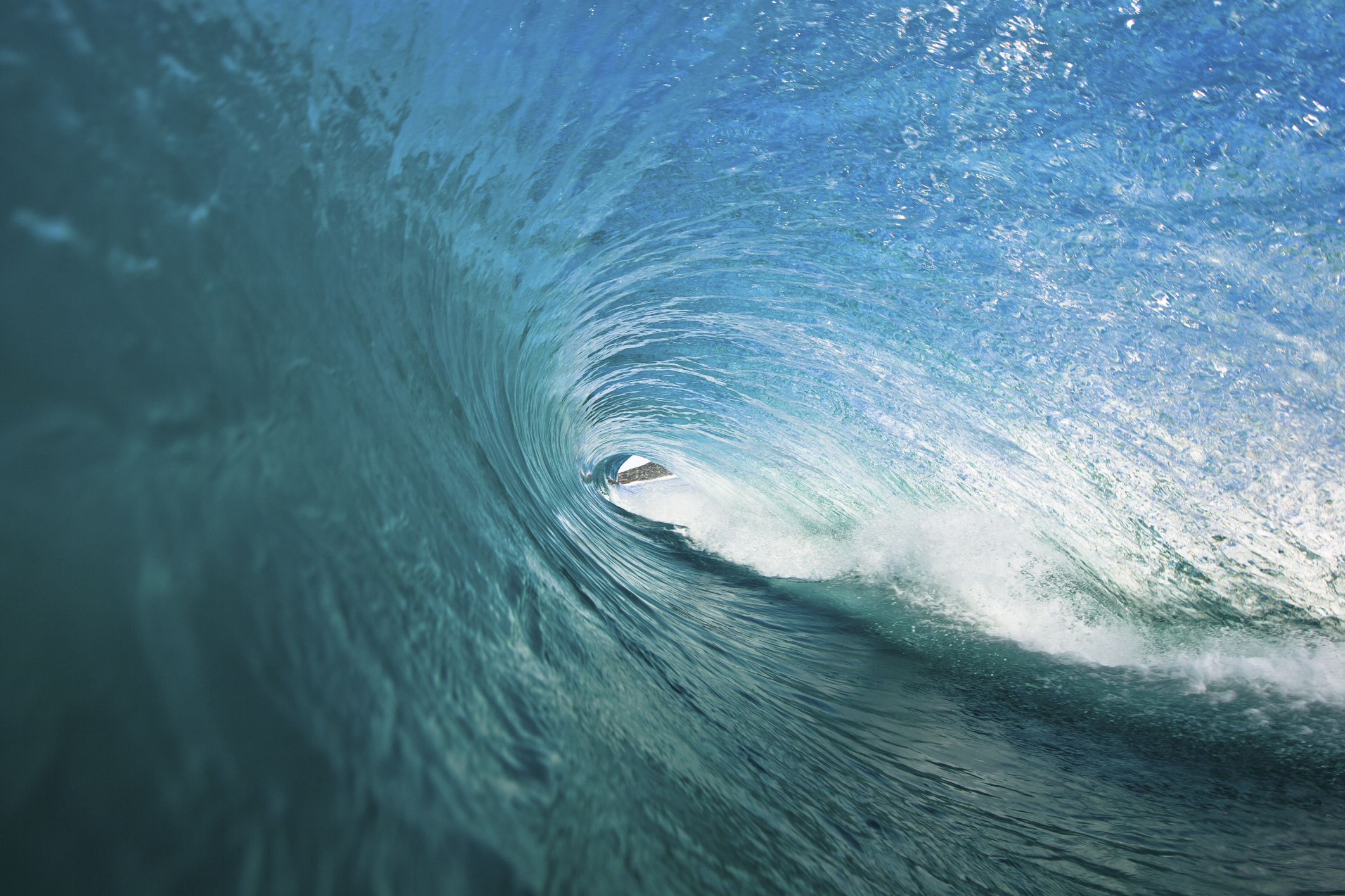 Photo by Thurston Photo/iStock / Getty Images