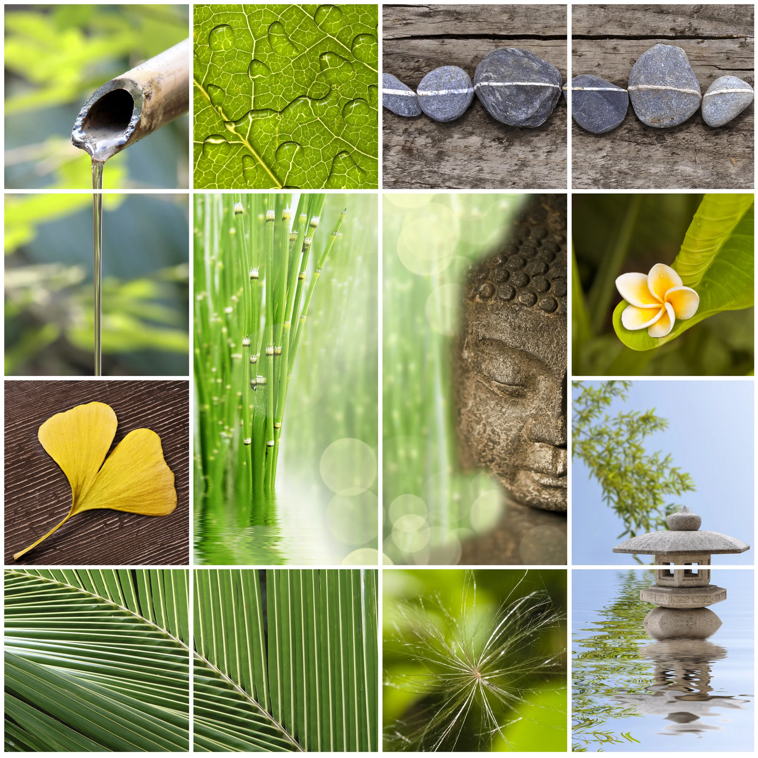 Photo by Delpixart/iStock / Getty Images