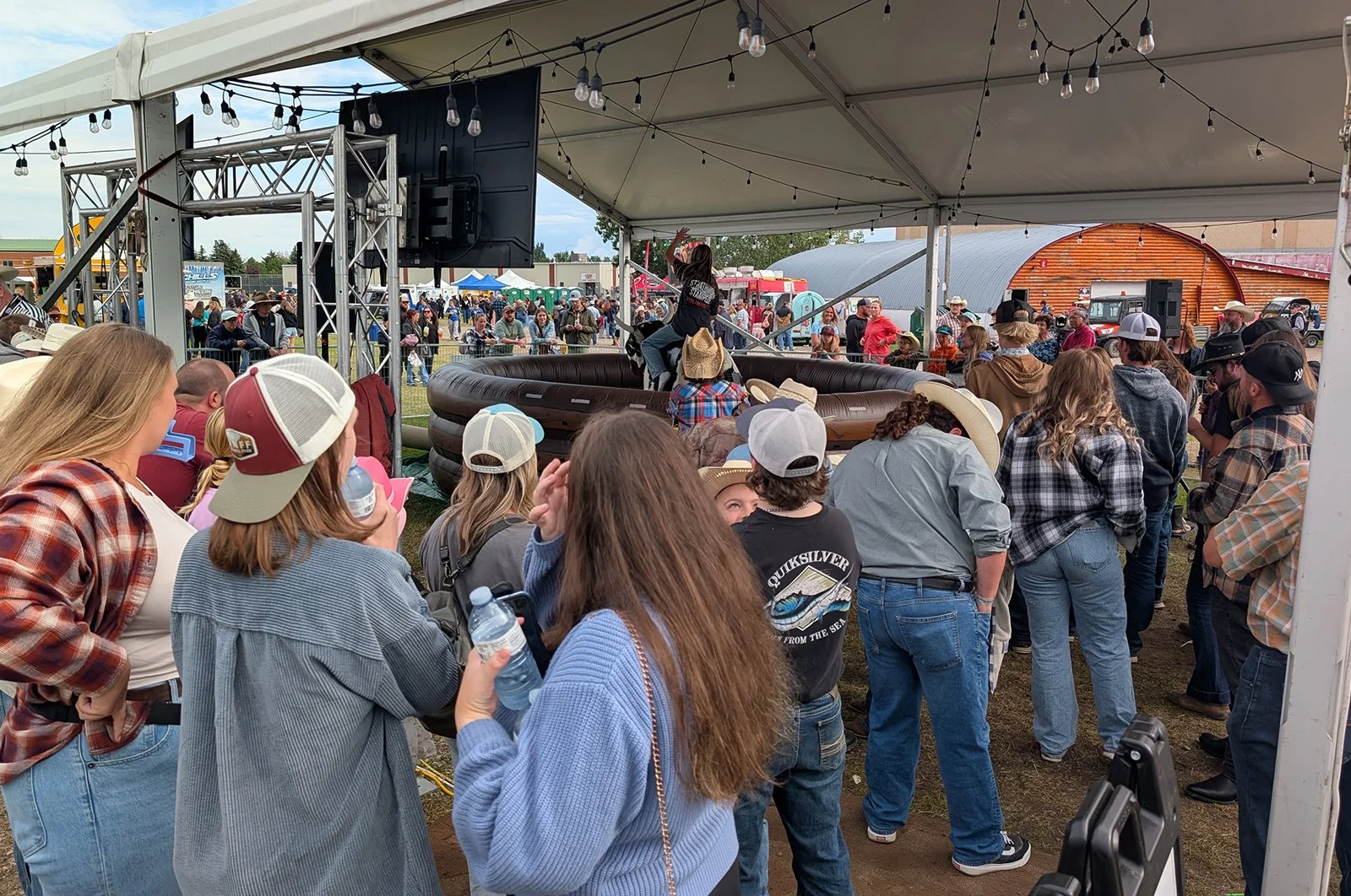 Bull Strath Crowd 2 X large T Image.jpg