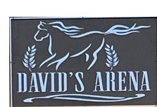 David's Arena.jpg