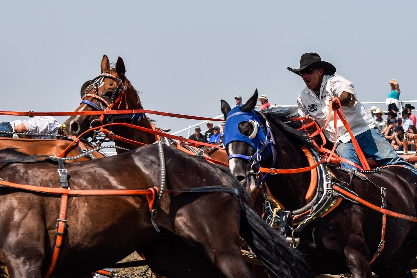 Happy Friday rodeo fans 🤠

#strathmorestampede