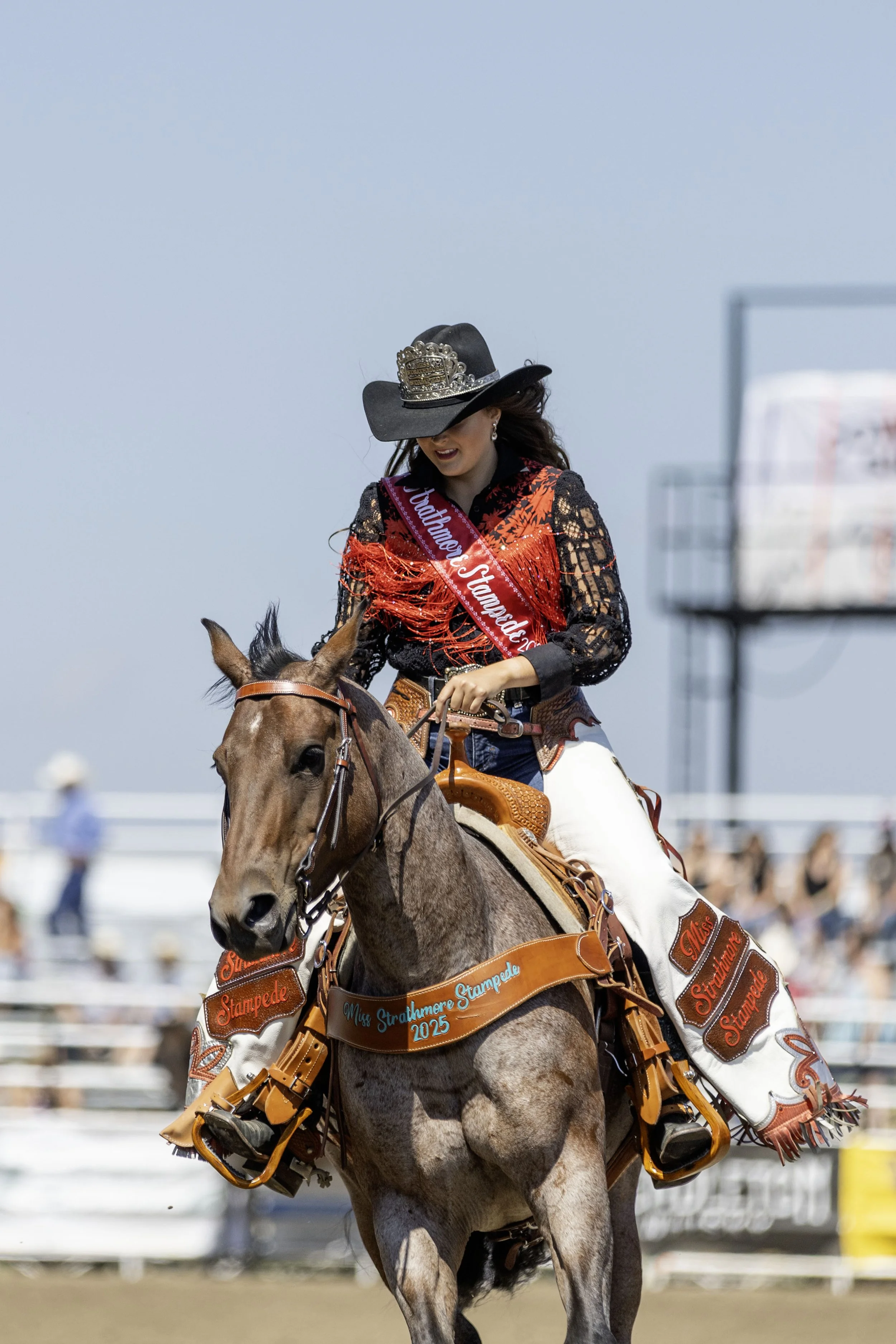 StrathmoreFridayRodeo2025(82).jpg