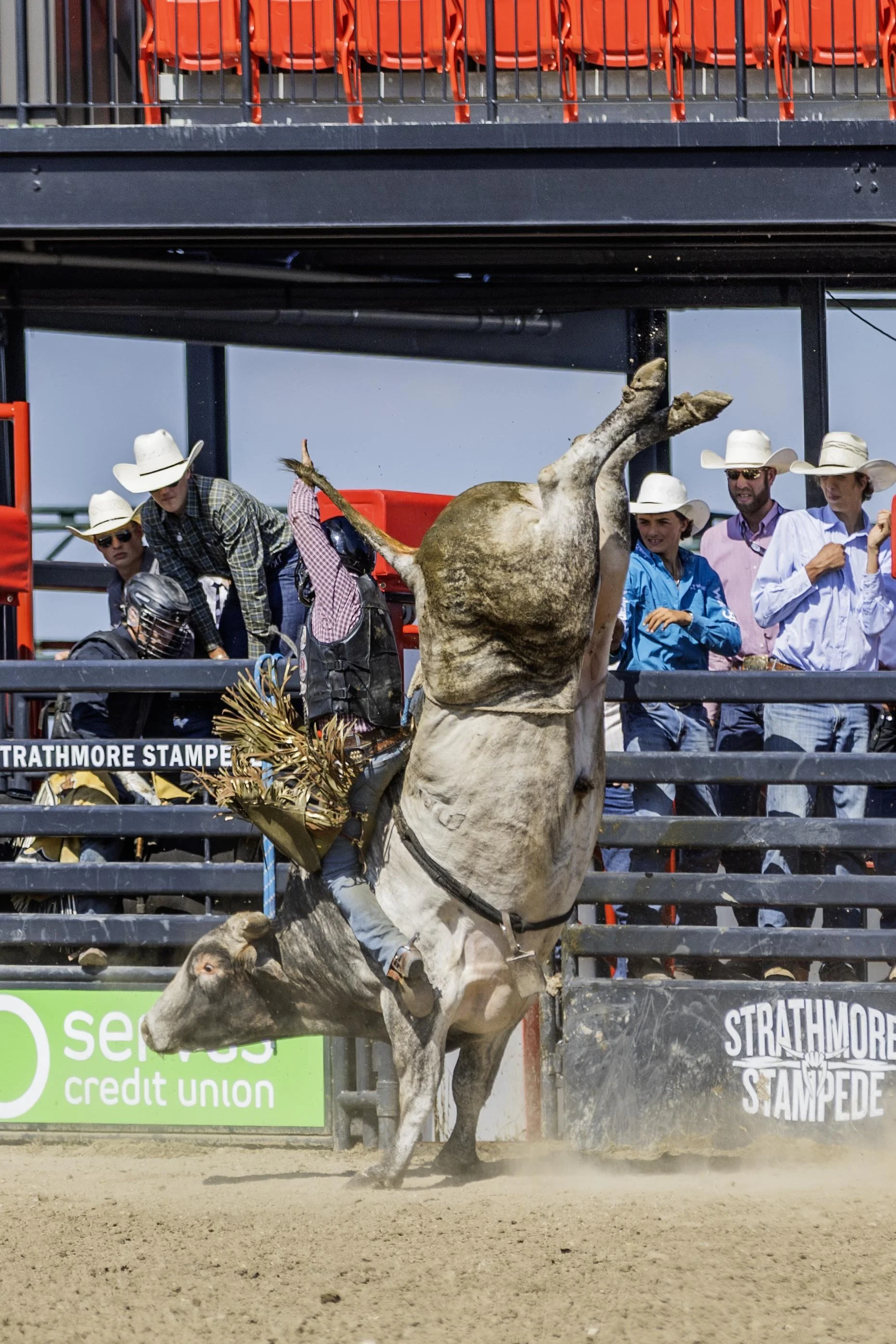 StrathmoreFridayRodeo2025(143).jpg