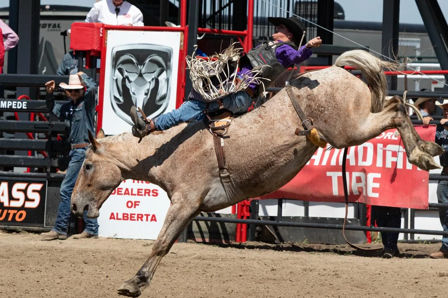 Hold on tight!💥Tradition, talent, and heart-pounding rodeo action &mdash; this is what the Strathmore Stampede is all about!🤠

Grab your tickets today at www.strathmorestampede.com (tickets powered by AuthentiGATE). 

📸: Ken Chatel 

#StrathmoreSt