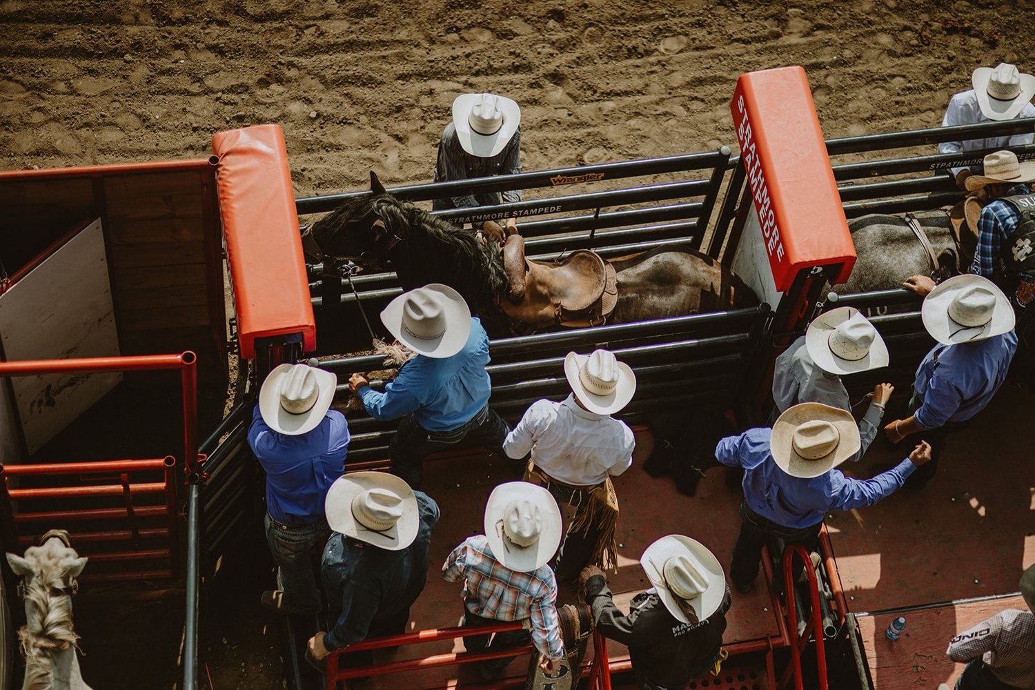 Home | Strathmore Stampede