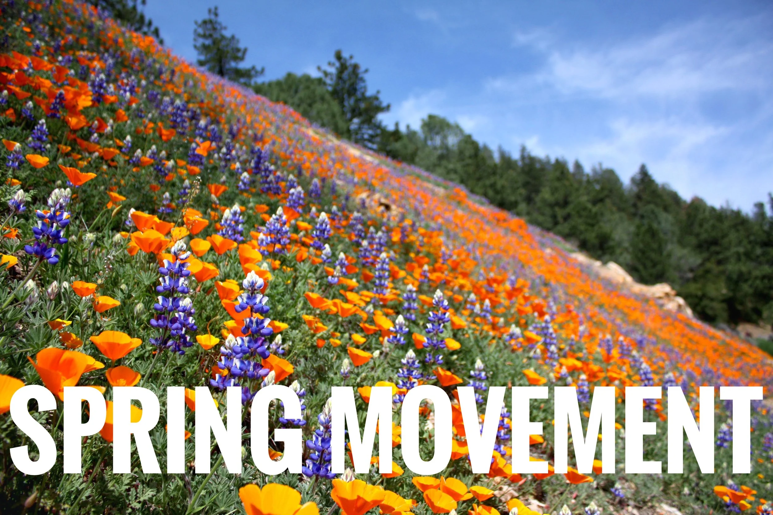 Spring Movement: 🍀From the Garden to the Table  (Interactive)
