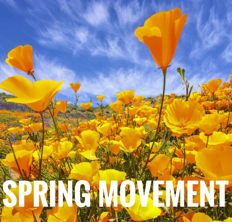 Spring Movement: 🌻From the Garden to the Table 