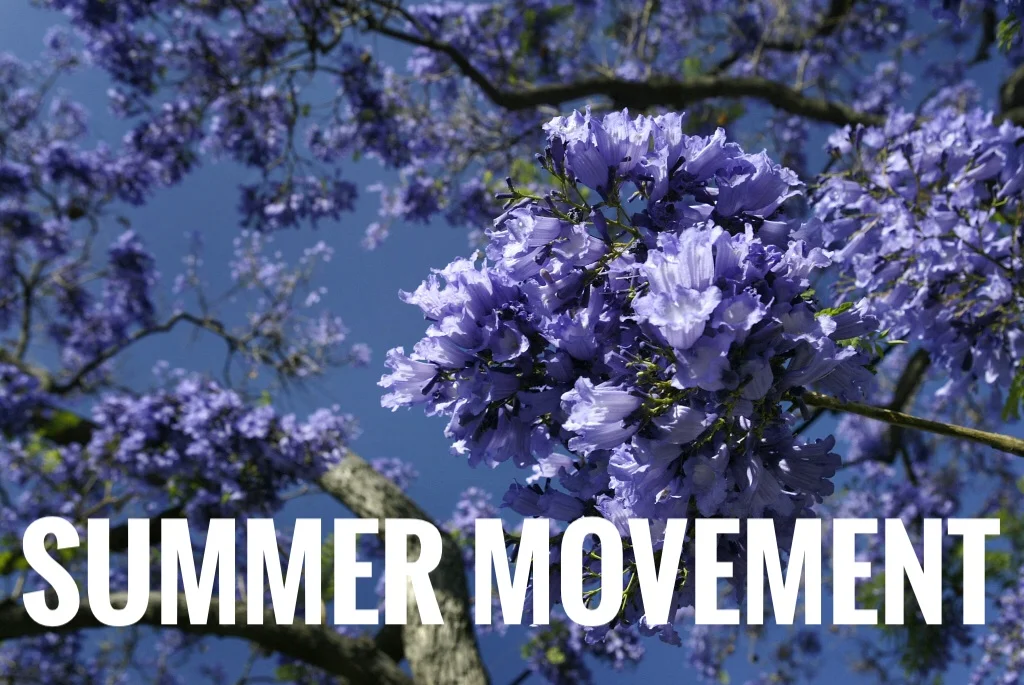 Summer Movement: ☀️Vegan Grilling + Tasty Chilling (Interactive)