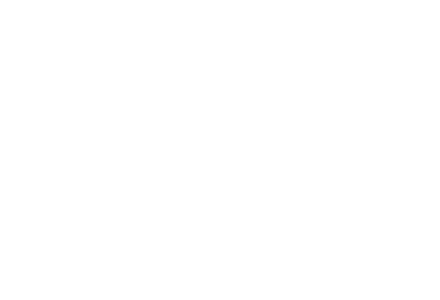ordering_v05_slice.png