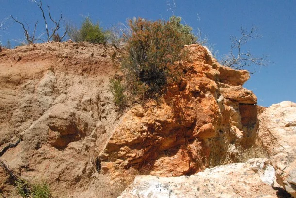 This shows the strike and dip at the hanging wall of the pegmatite. Overburden (lighter material) can be seen on the left; pegmatite (orangey-red material) is on the right.