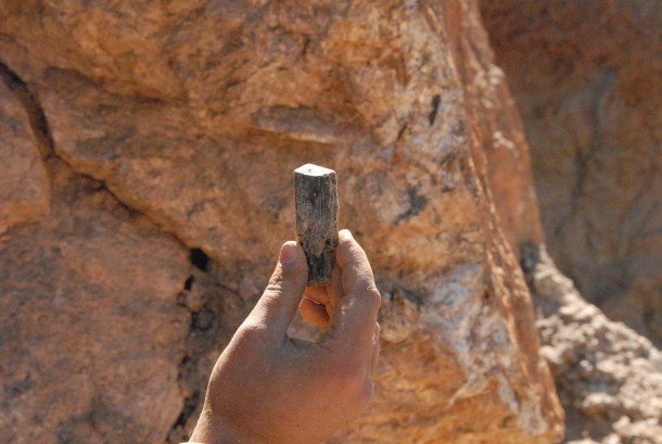 Will holds a schorl crystal that displays a deep purple skin under intense light.