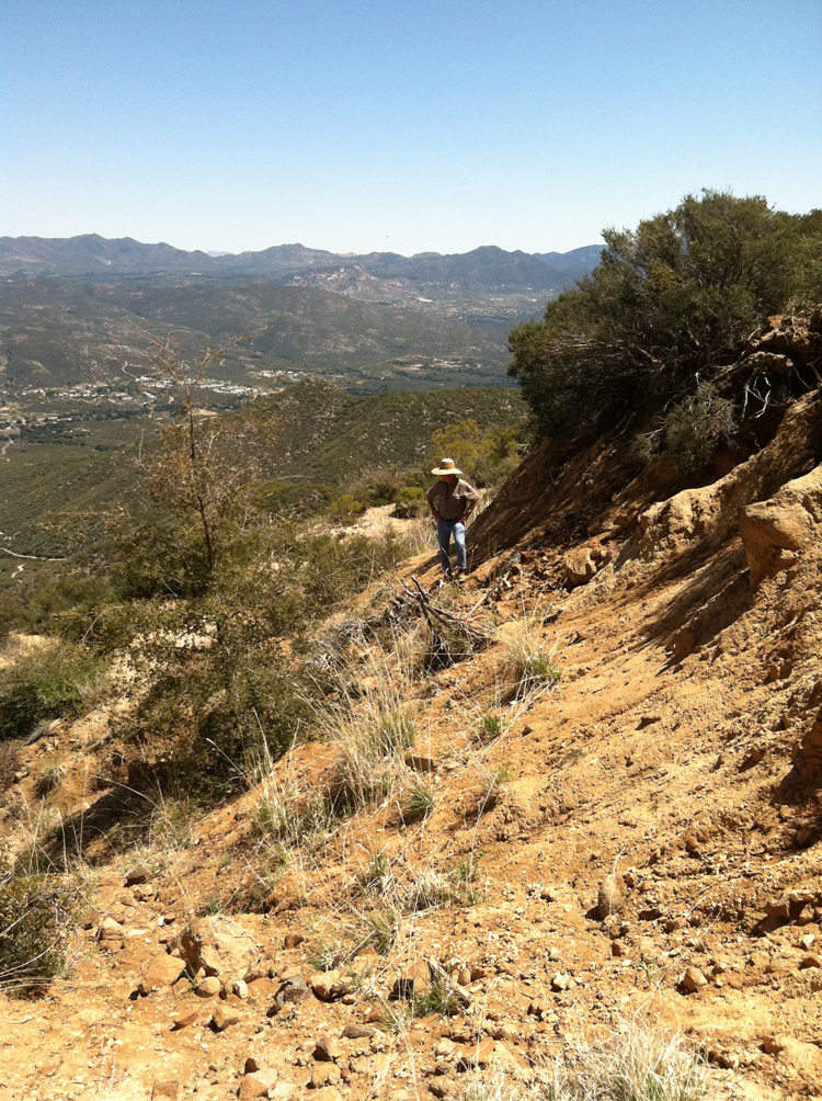 John McLean surveys the bluff for signs where the pegmatite surfaces. Click to enlarge. (Photo: Jason Stephenson) 