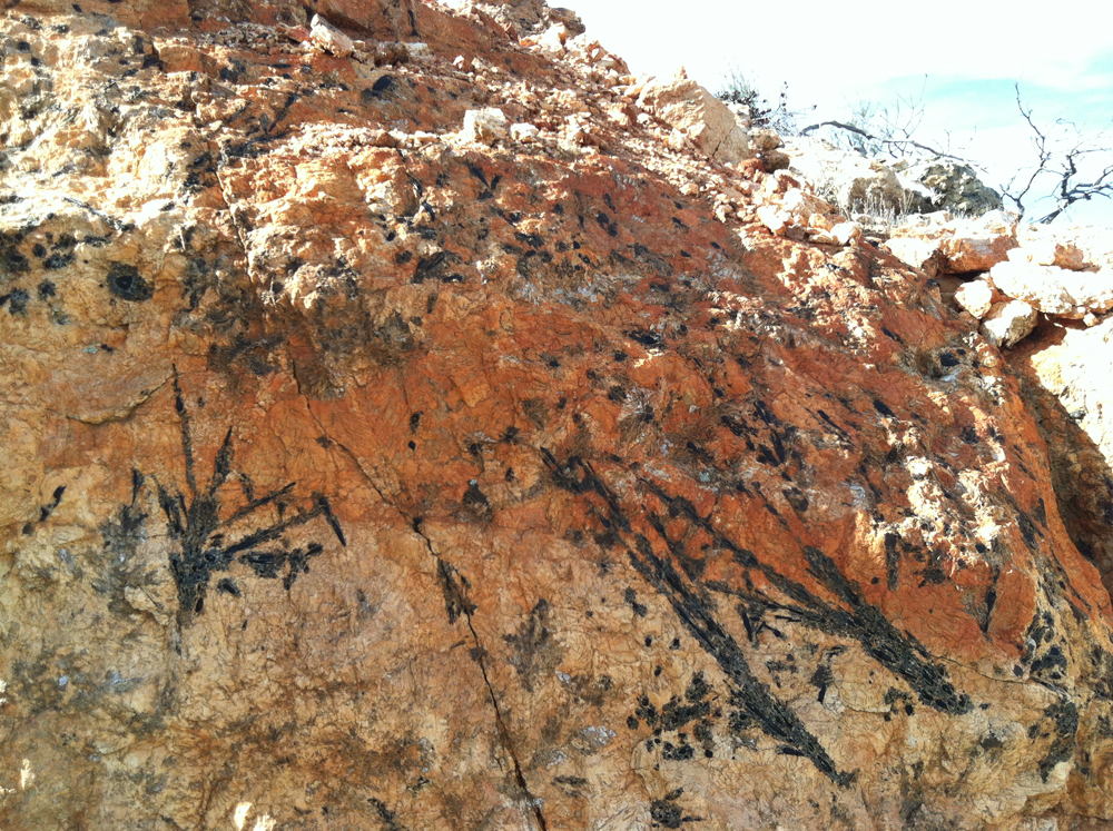 The pegmatite displays streaks of tourmaline at the Esmeralda Mine. Click to enlarge.