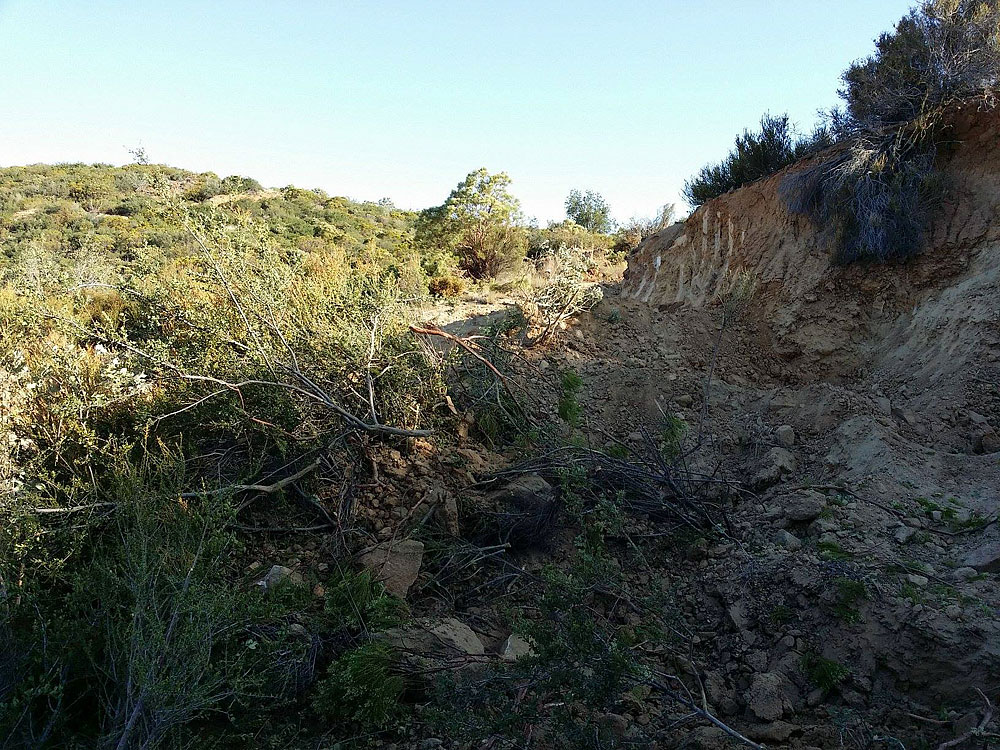 View of the Deere's work. Click to enlarge. (Photo: Casey Jones) 